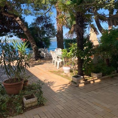 Seaside Apartment Padre 비빈제 외부 사진